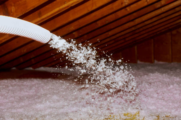 Best Insulation for Specific Applications in Avalon, PA